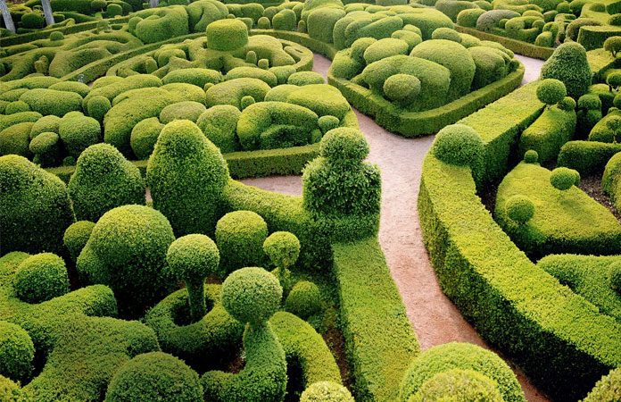 Topiary Philosophy
